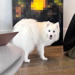 Kiri profile photo