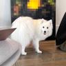 Kiri profile photo