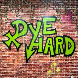 Dye Hard Salon & Spa profile photo