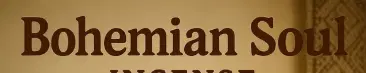 Bohemian Soul Natural Hair Salon salon banner image in New York