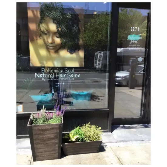 Bohemian Soul Natural Hair Salon stylist profile photo