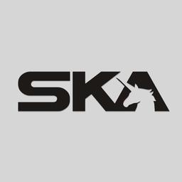 SKA Hair | Spa | Boston profile photo
